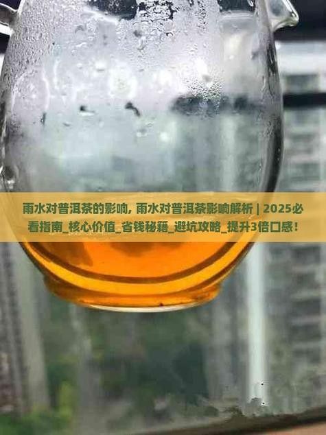 龍魚缸可以放熟普洱茶嗎視頻講解圖片