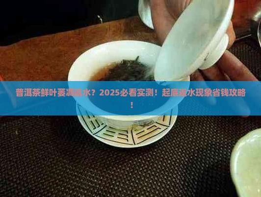 龍魚缸可以放熟普洱茶嗎視頻講解圖片