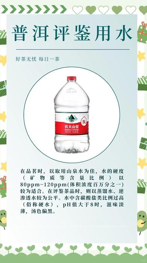 龍魚缸可以放熟普洱茶嗎視頻講解圖片