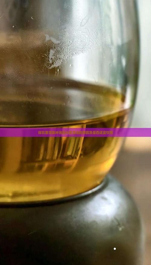 龍魚缸可以放熟普洱茶嗎視頻講解圖片