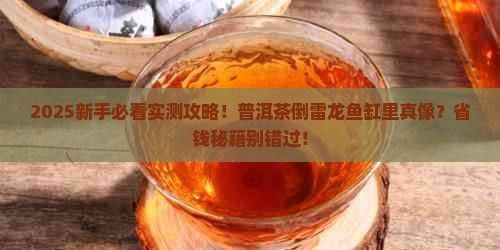 龍魚缸可以放熟普洱茶嗎視頻講解圖片