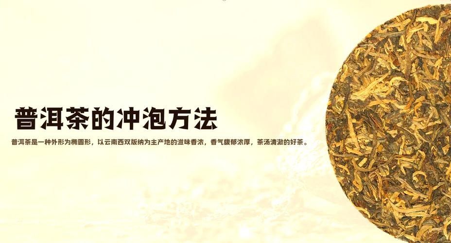 龍魚缸可以放熟普洱茶嗎視頻講解圖片