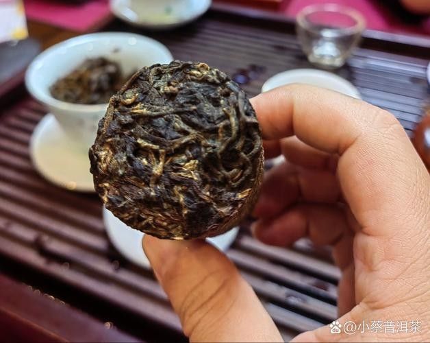 龍魚缸可以放熟普洱茶嗎視頻講解圖片