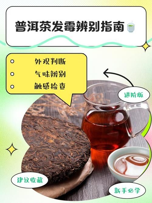 龍魚缸可以放熟普洱茶嗎視頻講解圖片