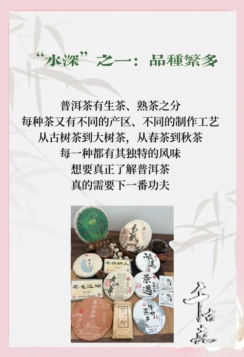 龍魚缸可以放熟普洱茶嗎視頻講解圖片