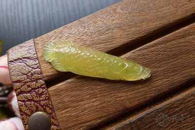 金龍魚翡翠：金龍魚翡翠不僅具有美學價值，還承載著深厚的文化內涵和潛在的投資價值