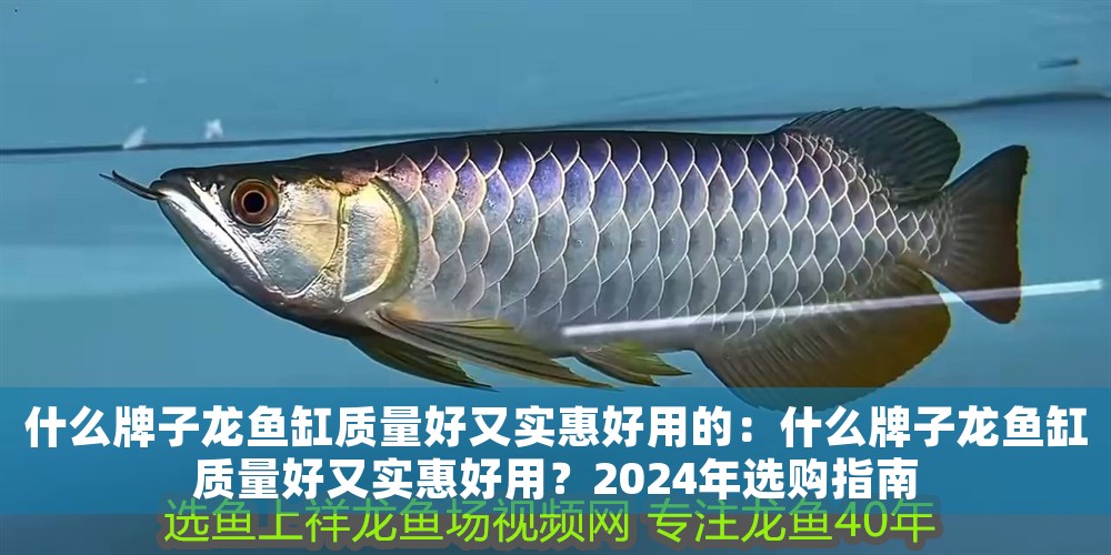 什么牌子龍魚缸質量好又實惠好用的：什么牌子龍魚缸質量好又實惠好用？2024年選購指南