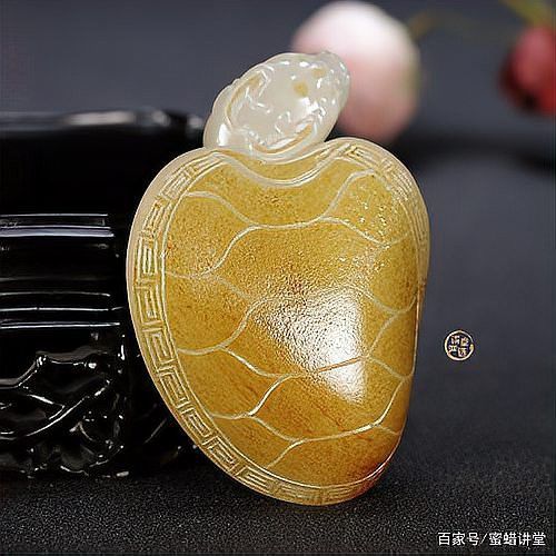 玉龍龜的市場價格是多少？