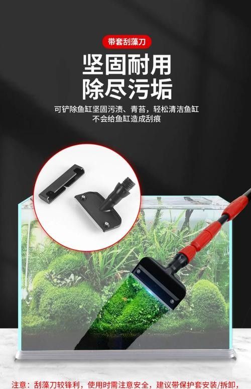 龍魚魚缸怎么清理