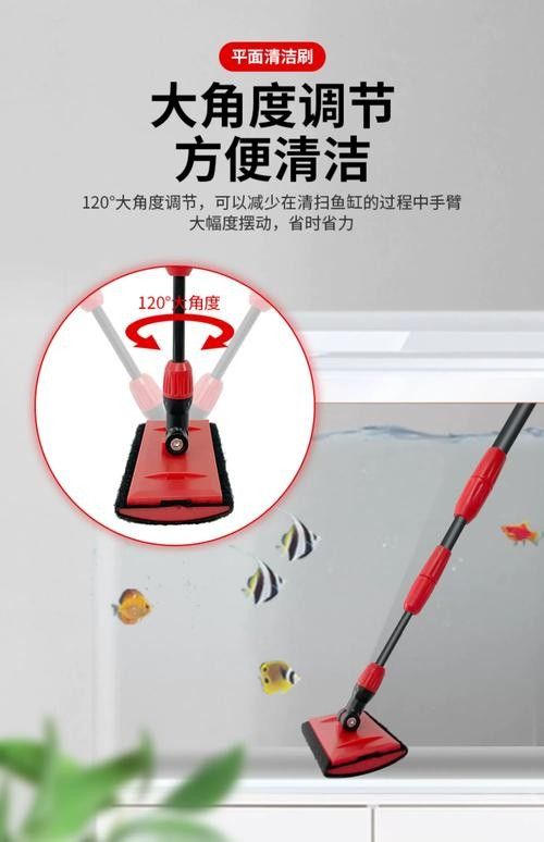 龍魚魚缸怎么清理