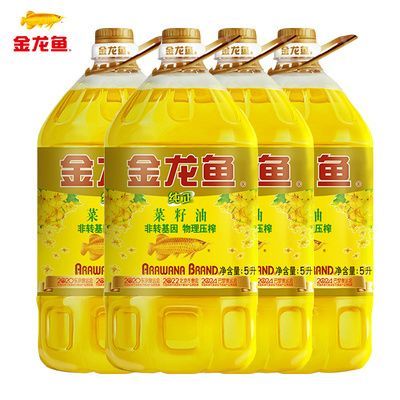 金龍魚等級排行（金龍魚的等級排行）