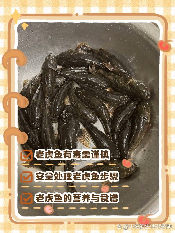 金老虎魚最忌三種東西