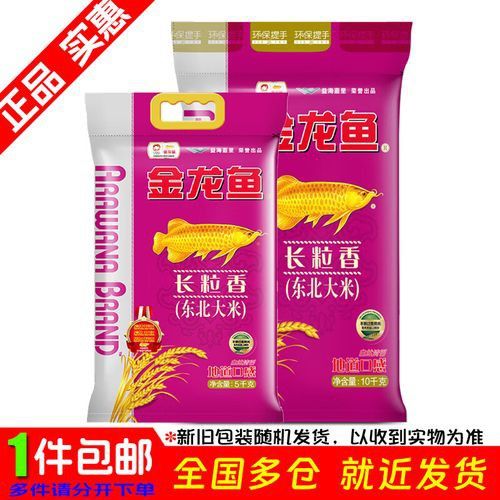 恐龍化石的價(jià)格范圍
