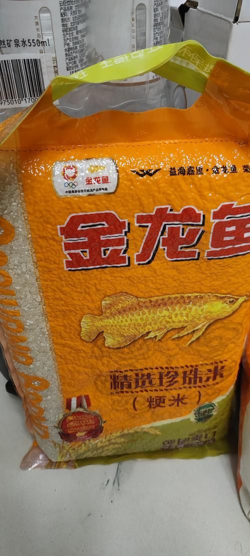 恐龍化石的價(jià)格范圍