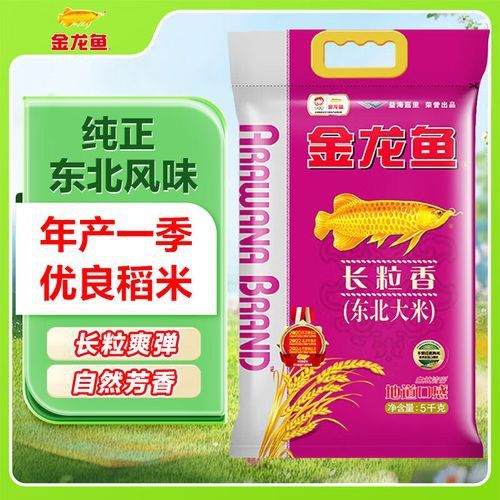 恐龍化石的價格范圍