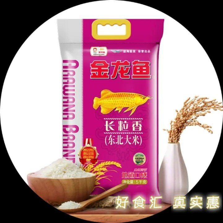 恐龍化石的價格范圍
