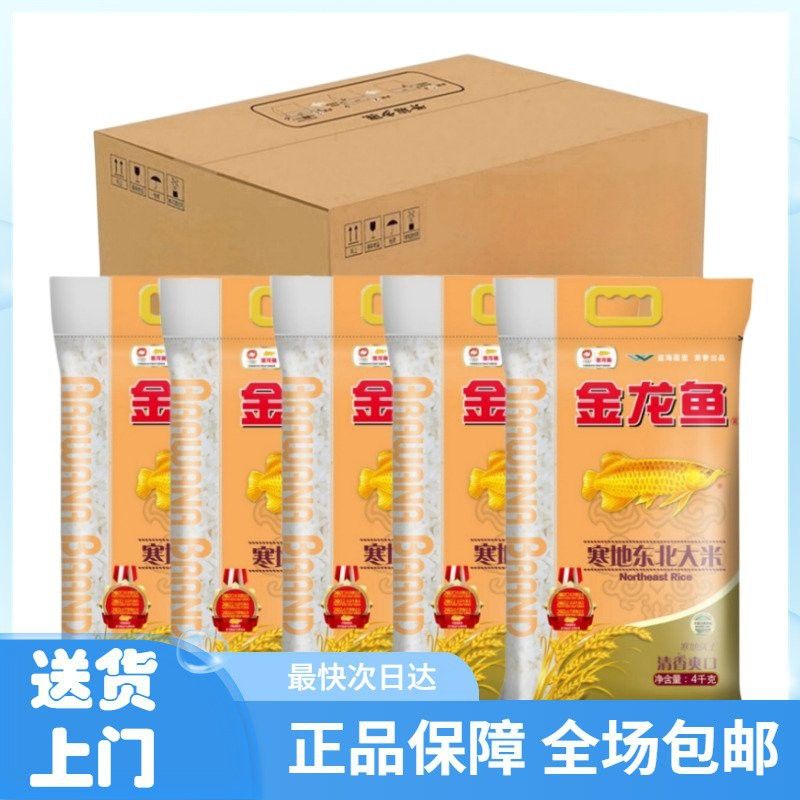 恐龍化石的價格范圍