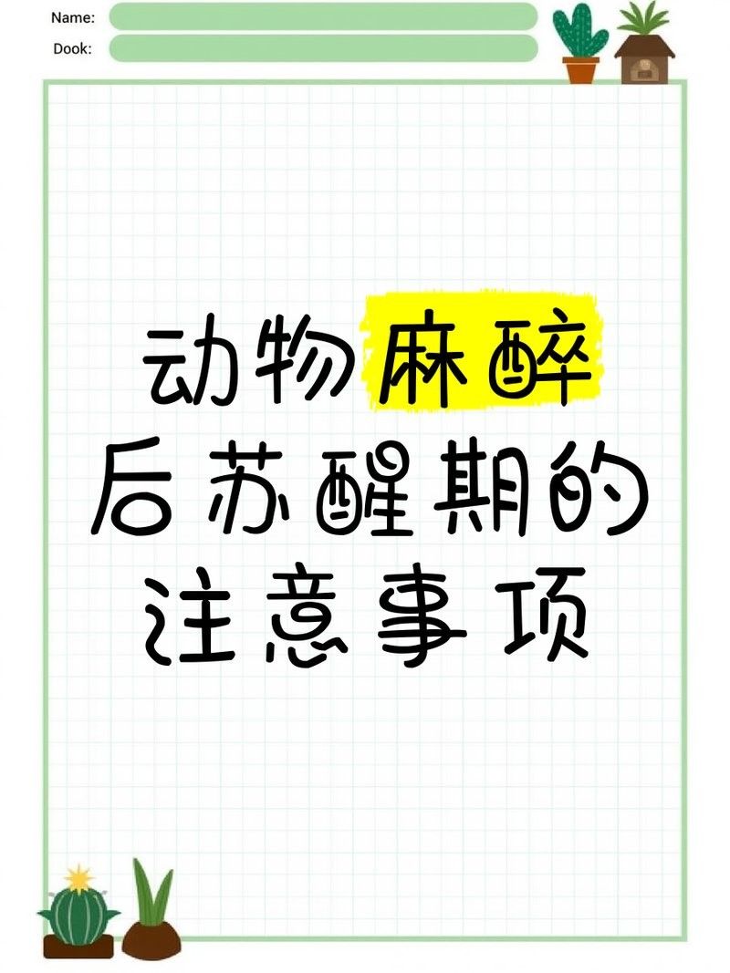 龍魚麻醉過后多久恢復(fù)身體正常 龍魚麻醉過后多久恢復(fù)身體正常 龍魚百科 第2張