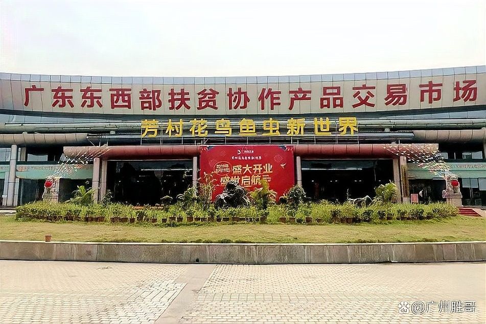 龍魚市場有哪些知名的交易市場 龍魚市場有哪些知名的交易市場 龍魚百科 第2張