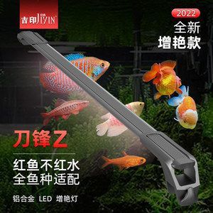 紅龍魚批發市場地址（紅龍魚批發市場地址如何查詢？）