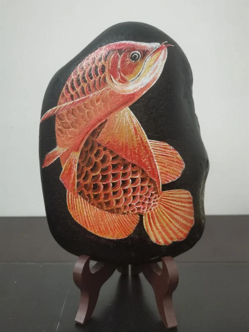 畫金龍魚的圖片大全