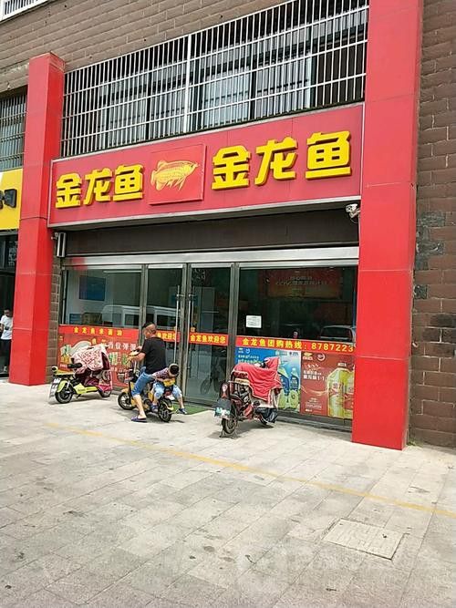 金龍魚金華總代