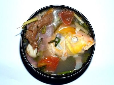 龍魚可以喂鯉魚肉嗎視頻教程：龍魚可以吃鯉魚肉嗎， 龍魚可以喂鯉魚肉嗎視頻教程：龍魚可以吃鯉魚肉嗎， 龍魚百科 第1張
