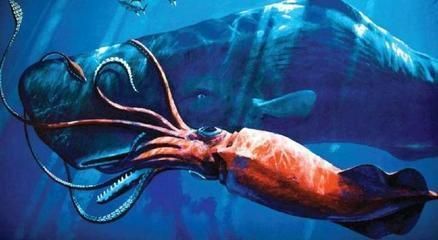 龍魚可以喂鯉魚肉嗎視頻教程：龍魚可以吃鯉魚肉嗎， 龍魚可以喂鯉魚肉嗎視頻教程：龍魚可以吃鯉魚肉嗎， 龍魚百科 第3張