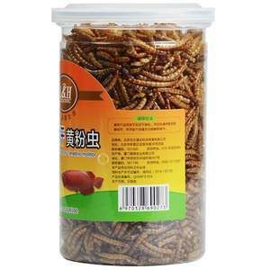 龍魚可以喂鯉魚肉嗎視頻教程：龍魚可以吃鯉魚肉嗎， 龍魚可以喂鯉魚肉嗎視頻教程：龍魚可以吃鯉魚肉嗎， 龍魚百科 第4張