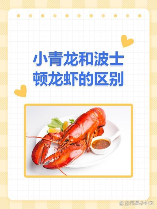 如何挑選新鮮的小青龍？