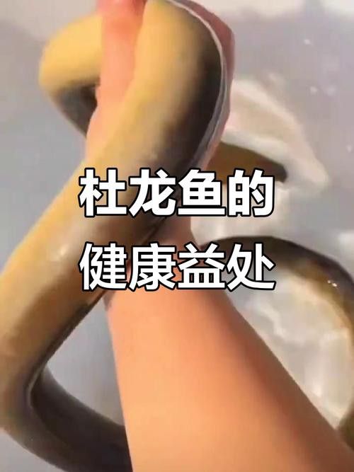 汕頭杜龍魚是什么魚種圖片大全
