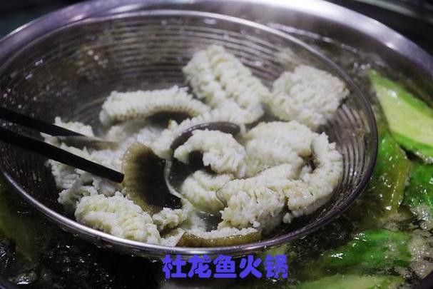 汕頭杜龍魚是什么魚種圖片大全