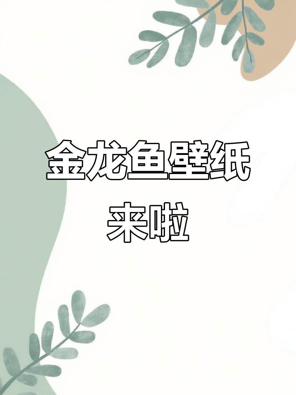 有哪些免費金龍魚動態壁紙？