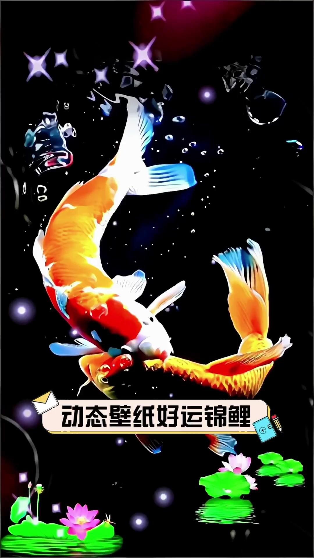 有哪些免費金龍魚動態壁紙？