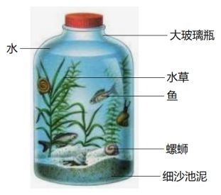 水草泥適用的水生生物種類：水草泥適用于多種水生生物的生長