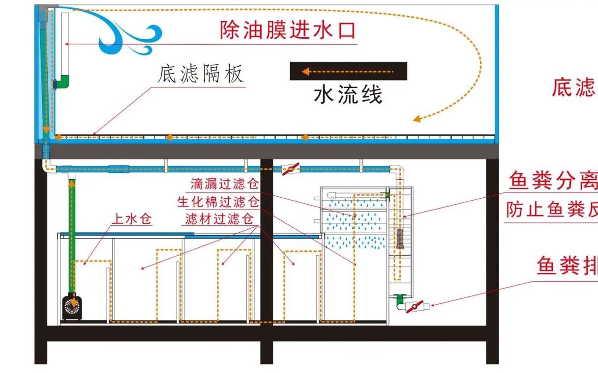 專業龍魚缸底濾槽設計圖