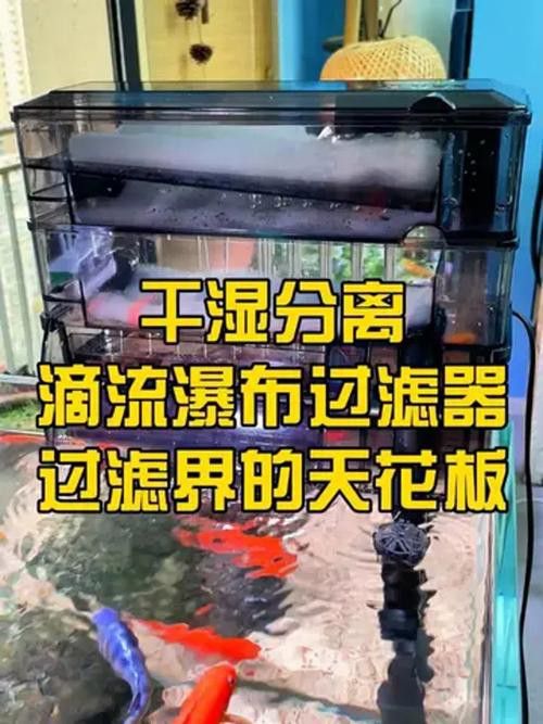 專業龍魚缸底濾槽設計圖