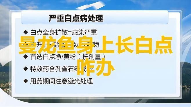 龍魚身上有白斑怎么辦 龍魚身上有白斑怎么辦 龍魚百科 第4張