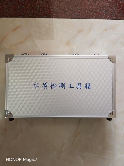 銀龍魚是怎么養的圖片 銀龍魚是怎么養的圖片 龍魚百科 第30張