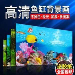 金龍魚缸價格多少：金龍魚缸價格多少金龍魚缸價格多少金龍魚缸價格信息 金龍魚缸價格多少：金龍魚缸價格多少金龍魚缸價格多少金龍魚缸價格信息 龍魚百科 第3張