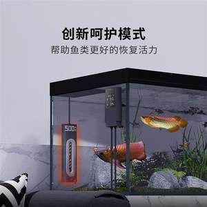 龍魚缸溫度高怎么降溫：夏季養龍魚注意事項，龍魚缸水質管理技巧