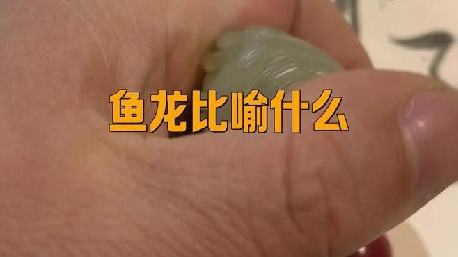魚龍在文化中還有哪些象征？