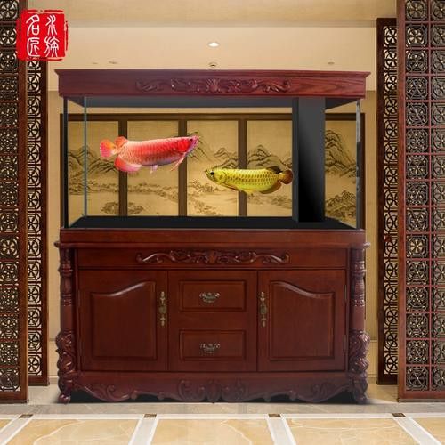 保定龍魚回收價格表圖片 保定龍魚回收價格表圖片 龍魚百科 第15張