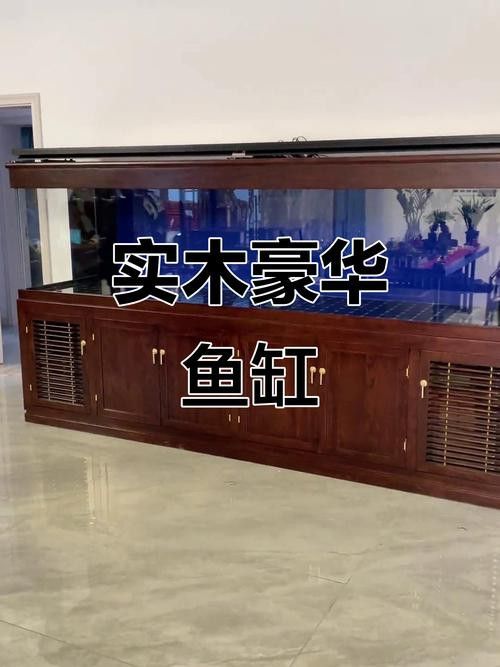 保定龍魚回收價格表圖片 保定龍魚回收價格表圖片 龍魚百科 第16張