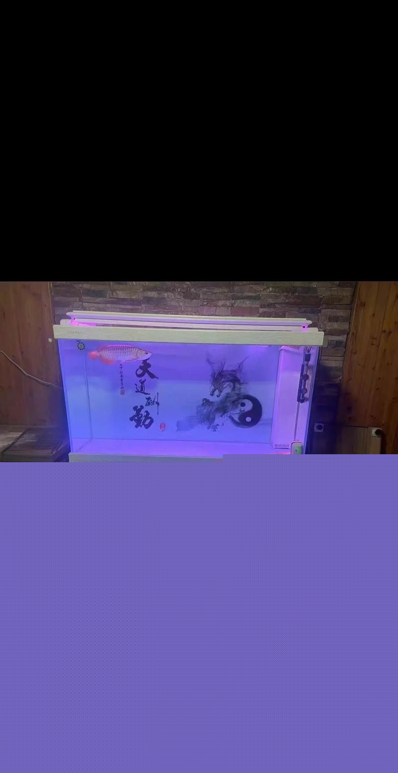 保定龍魚回收價格表圖片 保定龍魚回收價格表圖片 龍魚百科 第23張