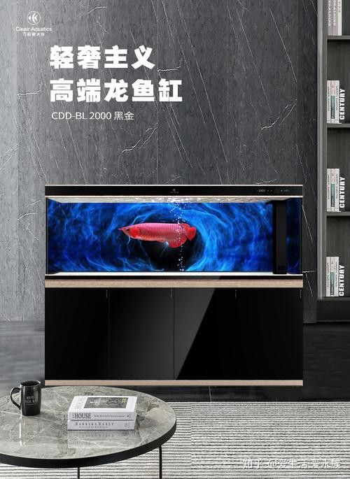 保定龍魚回收價格表圖片 保定龍魚回收價格表圖片 龍魚百科 第24張