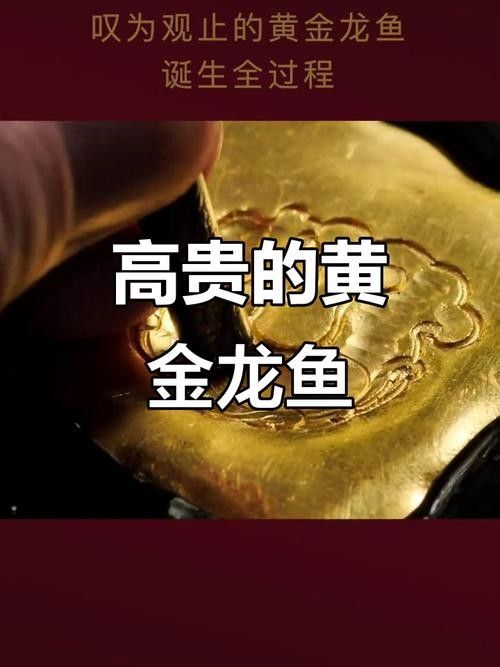 黃金龍魚多少錢一只圖片