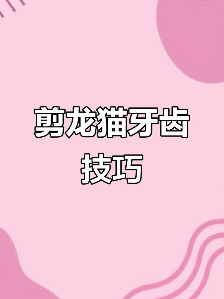 龍貓牙齒斷裂后如何護(hù)理？