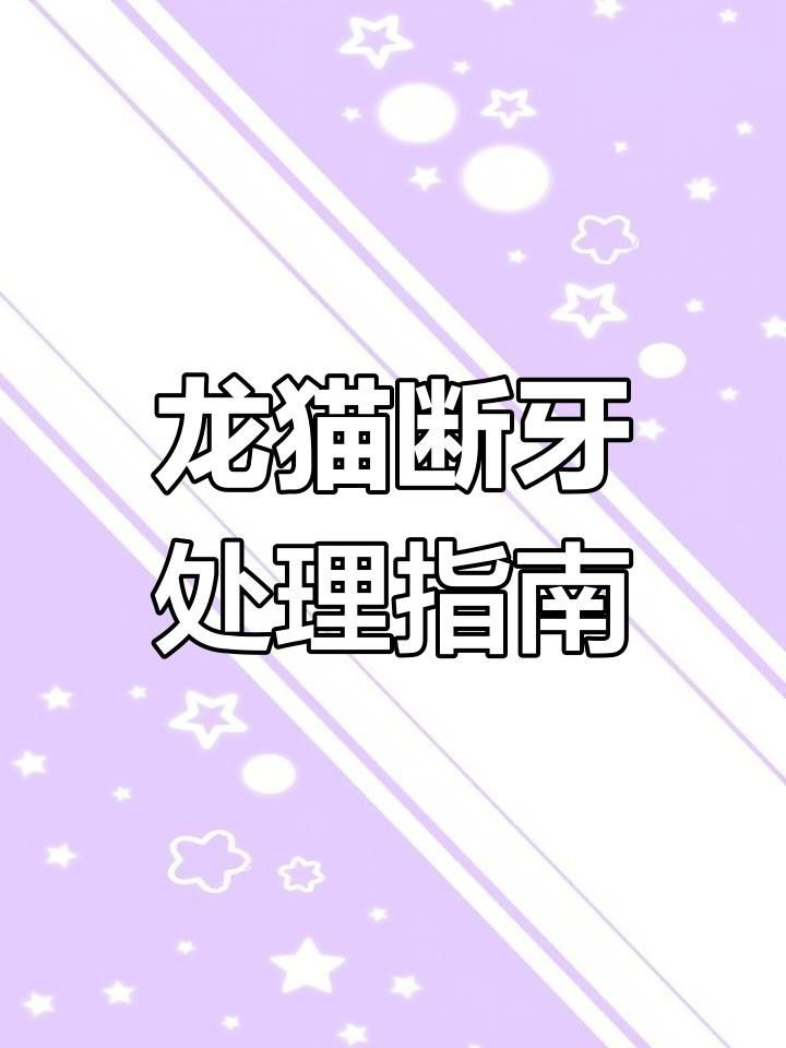 龍貓牙齒斷裂后如何護(hù)理？