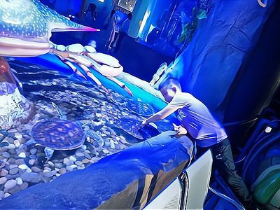 水族館加盟找祥龍魚場怎么樣（水族館加盟_水族館加盟費查詢網賺錢超級簡單）
